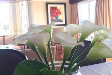 پانسیون Tom S Place Guest House