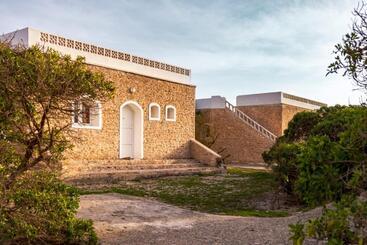 The Mogador S Oasis