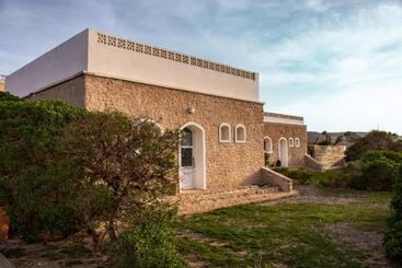 The Mogador S Oasis