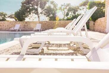 The Mogador S Oasis