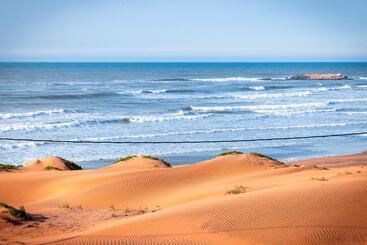 The Mogador S Oasis