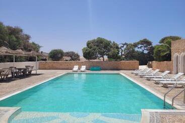 The Mogador S Oasis