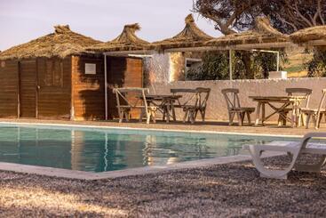 The Mogador S Oasis