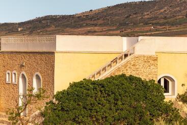 The Mogador S Oasis