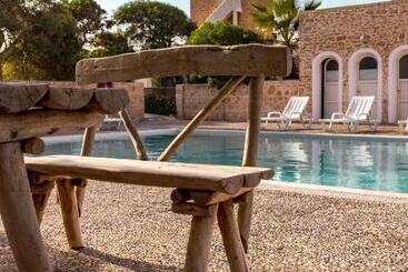 The Mogador S Oasis