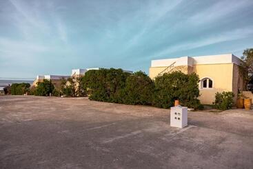 The Mogador S Oasis