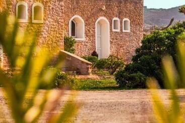 The Mogador S Oasis