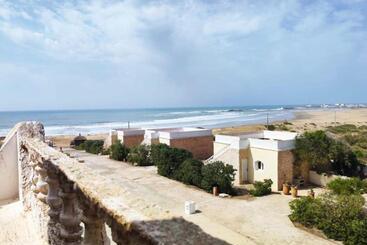 The Mogador S Oasis