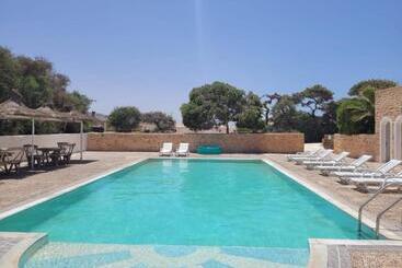 The Mogador S Oasis