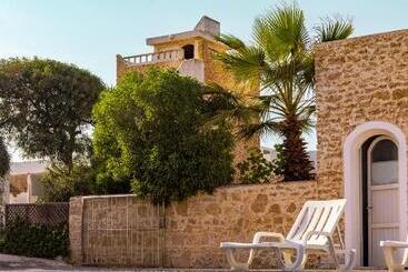 The Mogador S Oasis