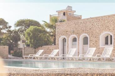 The Mogador S Oasis