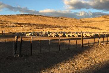 هتل Estancia Santa Thelma