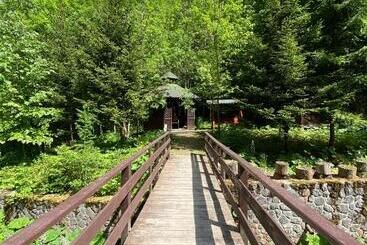 هتل Vila șipot   Casa Arhitecților