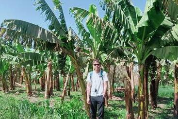 پانسیون Dream Garden Luxor