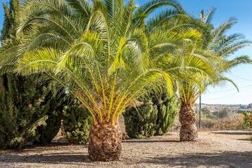 تختخواب و صبحانه Finca De La Pansa