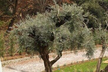 تختخواب و صبحانه Villa Jasmine