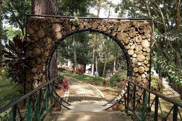 Bungo Bed & Breakfast Workation