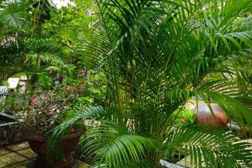 هتل Homestay Bến Tre