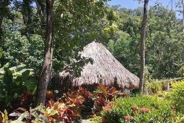 پانسیون Santuario Tayrona Hostel