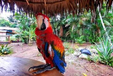 هتل Arapari Amazon Lodge