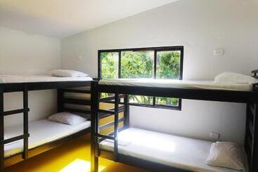 پانسیون Amalaya Hostel