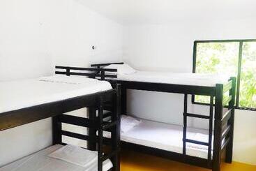 پانسیون Amalaya Hostel