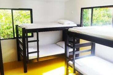 پانسیون Amalaya Hostel