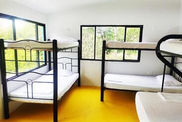پانسیون Amalaya Hostel