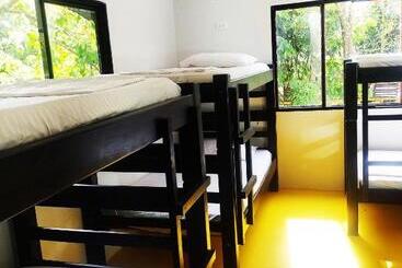 پانسیون Amalaya Hostel