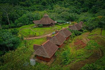 پانسیون Kotsimba Lodge