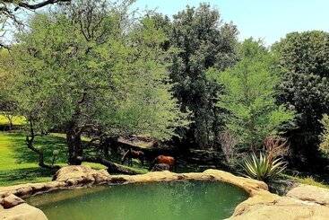 هتل Blyde River Wilderness Lodge