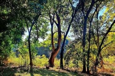 هتل Blyde River Wilderness Lodge