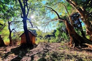 هتل Blyde River Wilderness Lodge