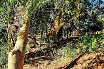هتل Blyde River Wilderness Lodge