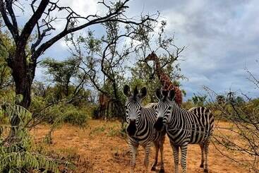 هتل Blyde River Wilderness Lodge