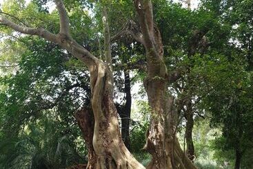 هتل Blyde River Wilderness Lodge