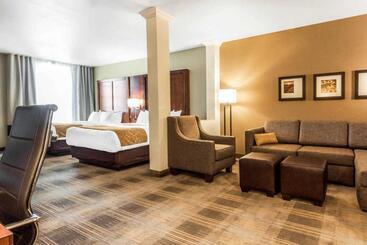 هتل Comfort Suites University Brookings
