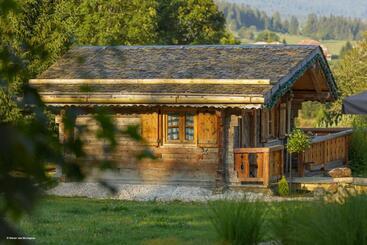 Отель Hôtel Le Manoir Des Montagnes