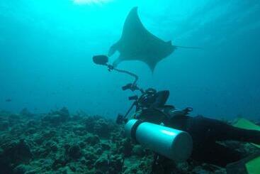 Liberty Guest House Maldives - Mahibadhoo