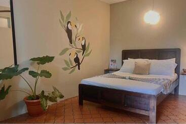 تختخواب و صبحانه Mizaru   Seaview Central Manuel Antonio