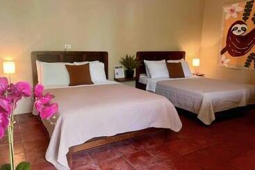 تختخواب و صبحانه Mizaru Seaview Central Manuel Antonio