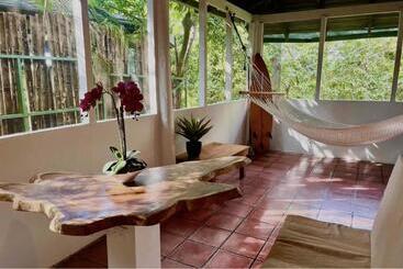 تختخواب و صبحانه Mizaru   Seaview Central Manuel Antonio