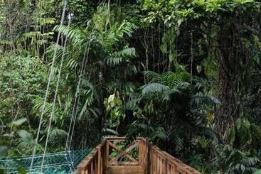 Jade Jungle Resort