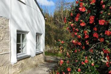 پانسیون Primrose Cottage