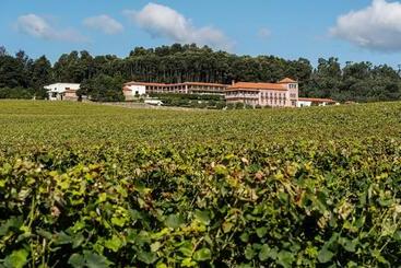 Solar De Vila Meã - Barcelos