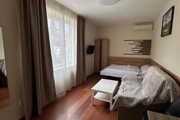 Modern Apartments Uzhgorod