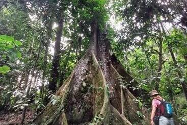 پانسیون Metare Eco Hostal Amazonas