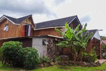 تختخواب و صبحانه Ngahu Bungalows Alojamiento Frente Al Mar En El Centro De Rapa Nui