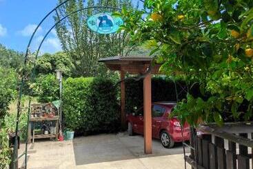 Caledonia B&b