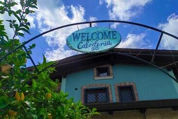 Caledonia B&b